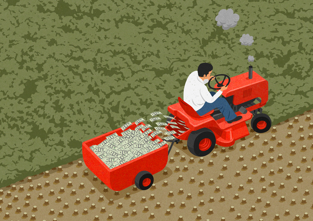 Conceptual illustration by John Holcroft about deforestation